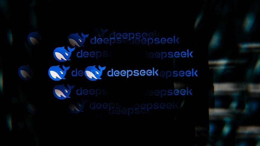 DeepSeek large language model